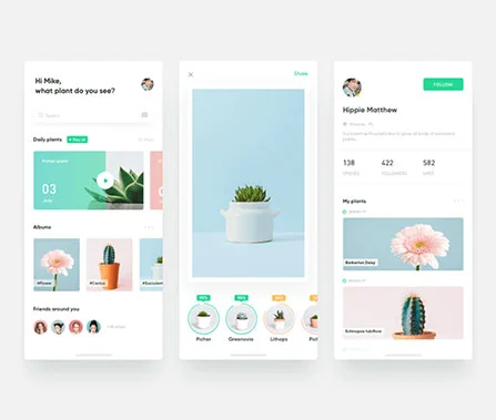 DesigNeticx